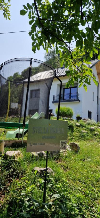 Apartment Stella Danica Catez ob Savi Dış mekan fotoğraf